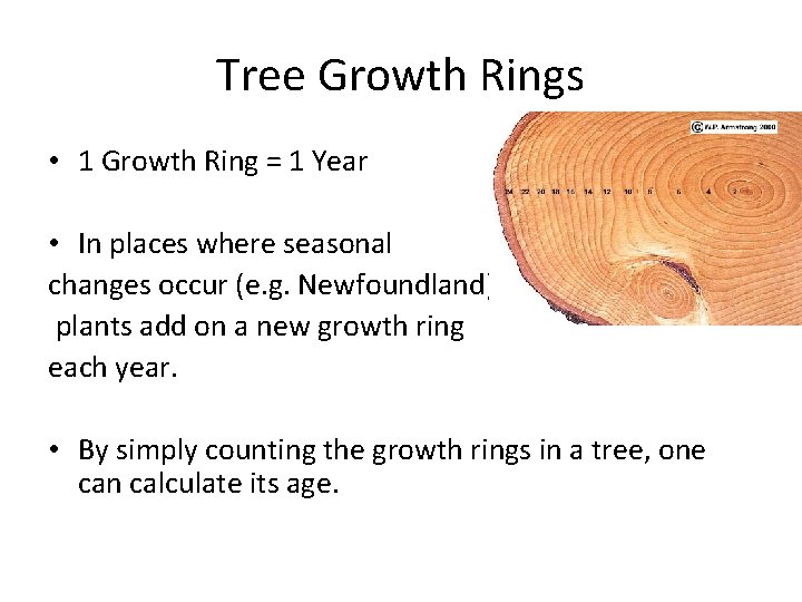 Tree Growth Rings • 1 Growth Ring = 1 Year • In places where