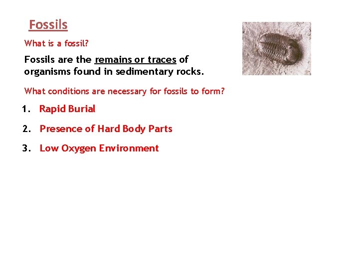 Fossils What is a fossil? Fossils are the remains or traces of organisms found