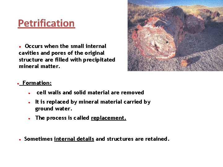 Petrification Occurs when the small internal cavities and pores of the original structure are