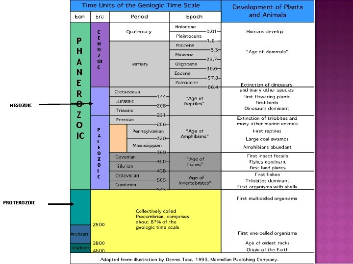 MESOZOIC PROTEROZOIC P H A N E R O Z O IC C E