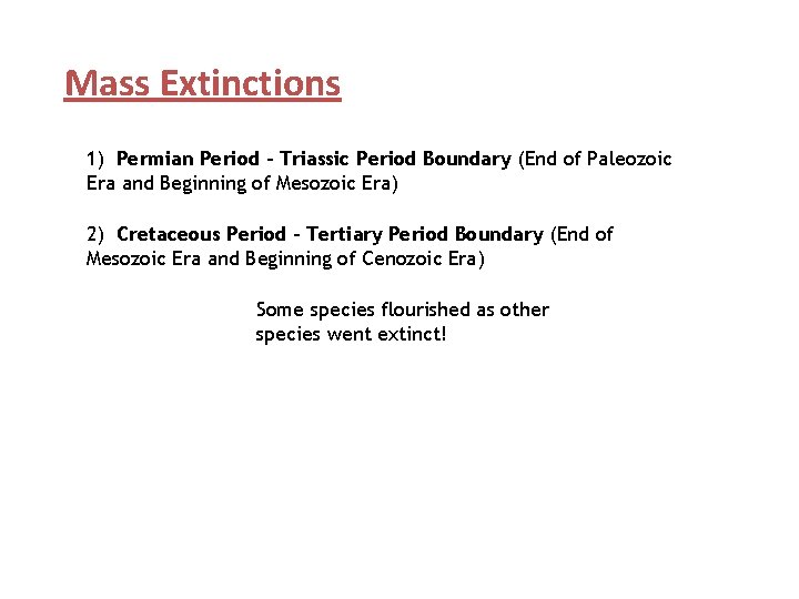 Mass Extinctions 1) Permian Period – Triassic Period Boundary (End of Paleozoic Era and