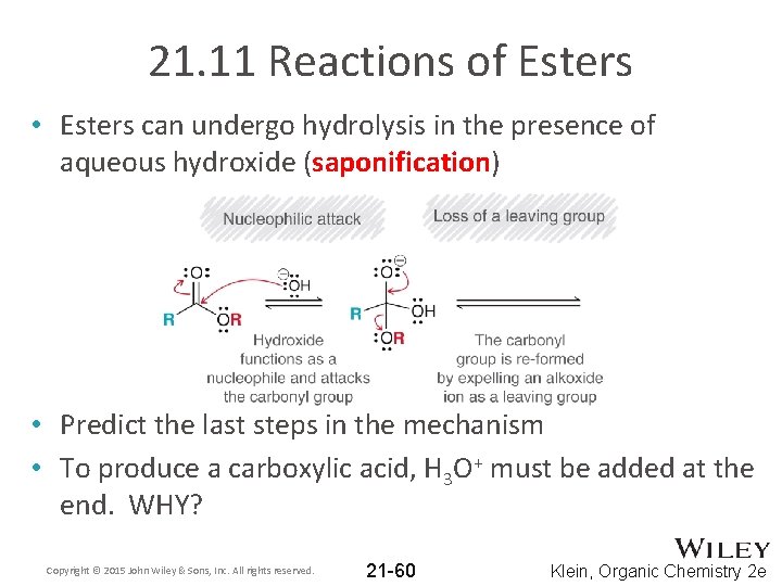 21. 11 Reactions of Esters • Esters can undergo hydrolysis in the presence of