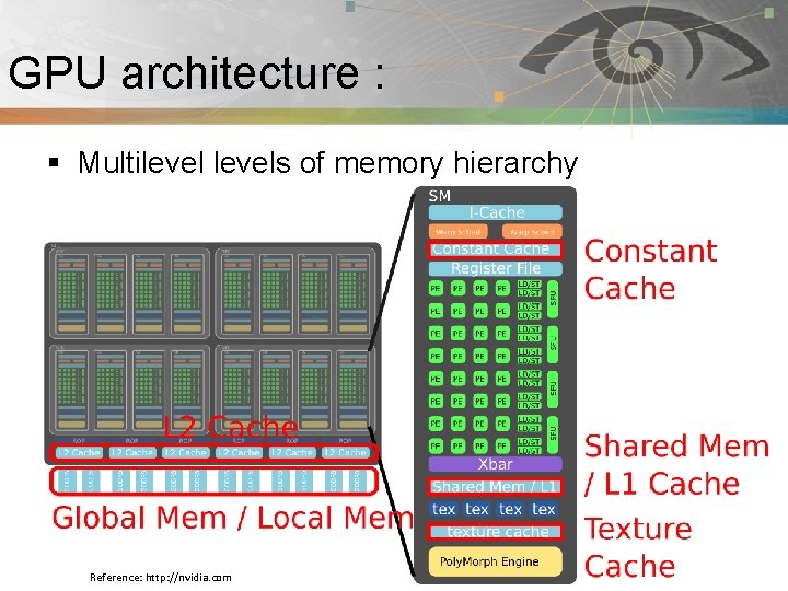 GPU architecture : Pnmath § Multilevels of memory hierarchy Reference: http: //nvidia. com 