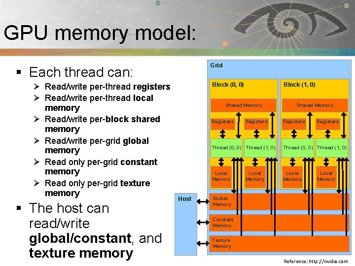 GPU memory model: Pnmath Grid § Each thread can: Ø Read/write per-thread registers Ø