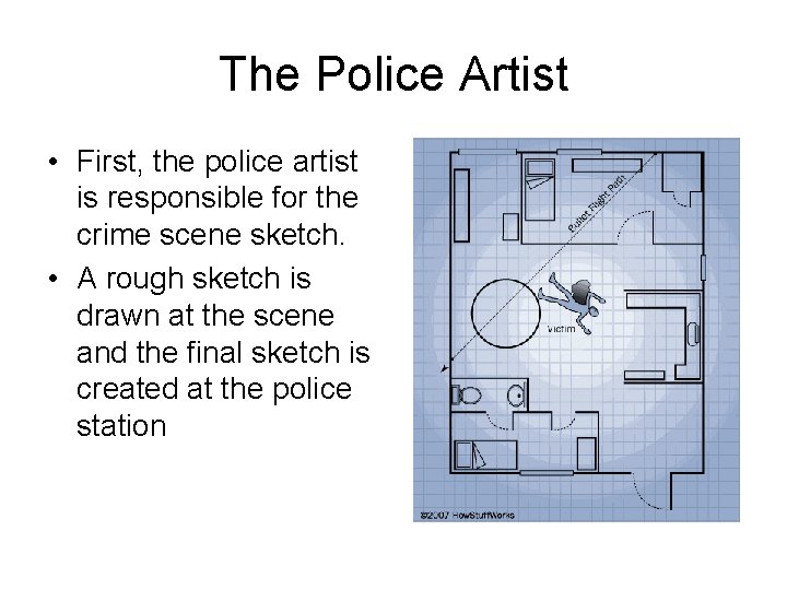 The Police Artist • First, the police artist is responsible for the crime scene The Police Artist • First, the police artist is responsible for the crime scene