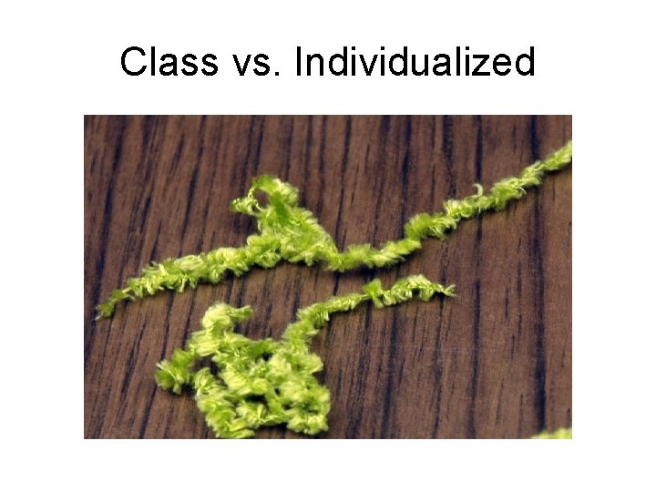 Class vs. Individualized Class vs. Individualized