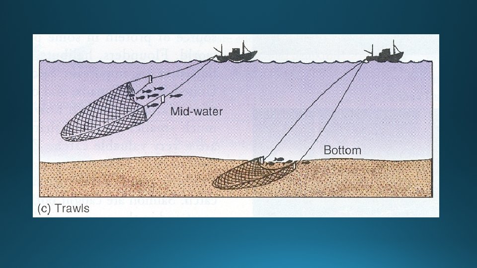 Unit 4 Fisheries and Aquaculture http visual ly35