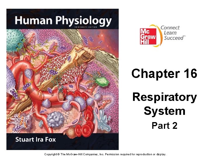 Chapter 16 Respiratory System Part 2 Copyright © The Mc. Graw-Hill Companies, Inc. Permission