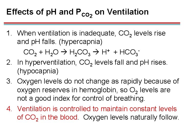 Effects of p. H and PCO 2 on Ventilation 1. When ventilation is inadequate,