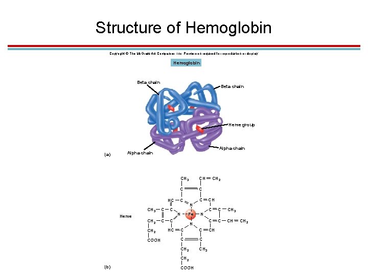 Structure of Hemoglobin Copyright © The Mc. Graw-Hill Companies, Inc. Permission required for reproduction