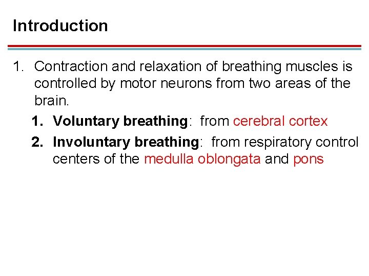 Introduction 1. Contraction and relaxation of breathing muscles is controlled by motor neurons from