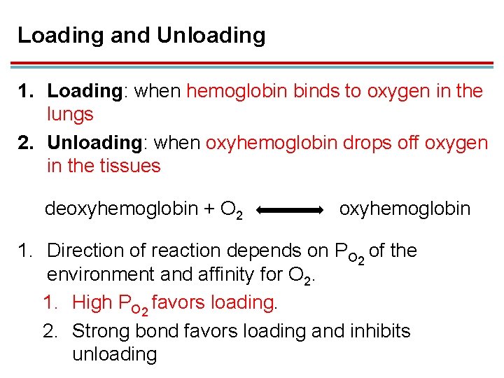 Loading and Unloading 1. Loading: when hemoglobin binds to oxygen in the lungs 2.