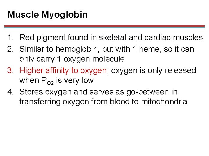 Muscle Myoglobin 1. Red pigment found in skeletal and cardiac muscles 2. Similar to