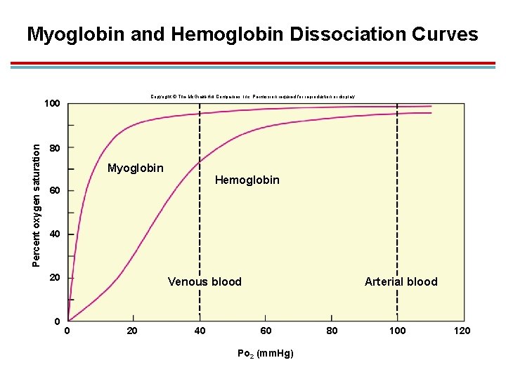 Myoglobin and Hemoglobin Dissociation Curves Copyright © The Mc. Graw-Hill Companies, Inc. Permission required