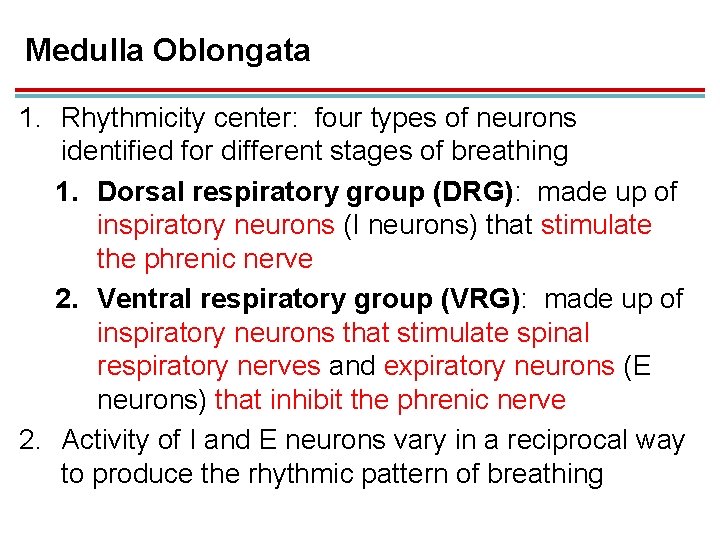 Medulla Oblongata 1. Rhythmicity center: four types of neurons identified for different stages of