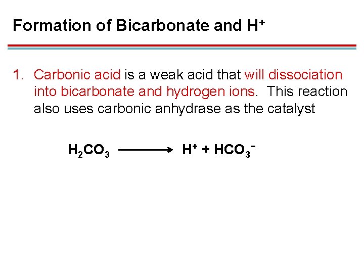 Formation of Bicarbonate and H+ 1. Carbonic acid is a weak acid that will