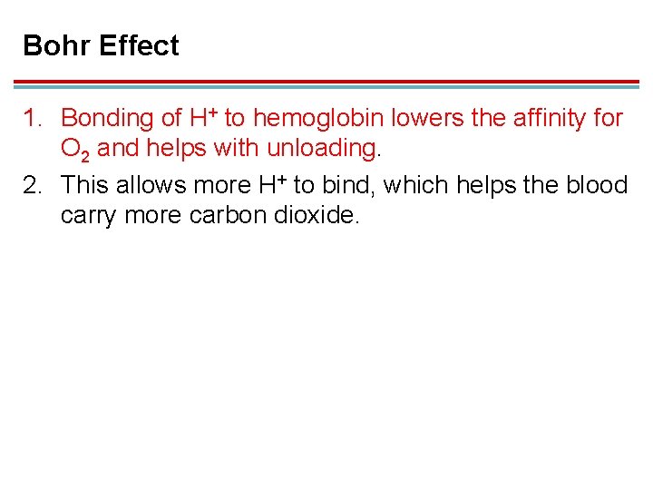 Bohr Effect 1. Bonding of H+ to hemoglobin lowers the affinity for O 2