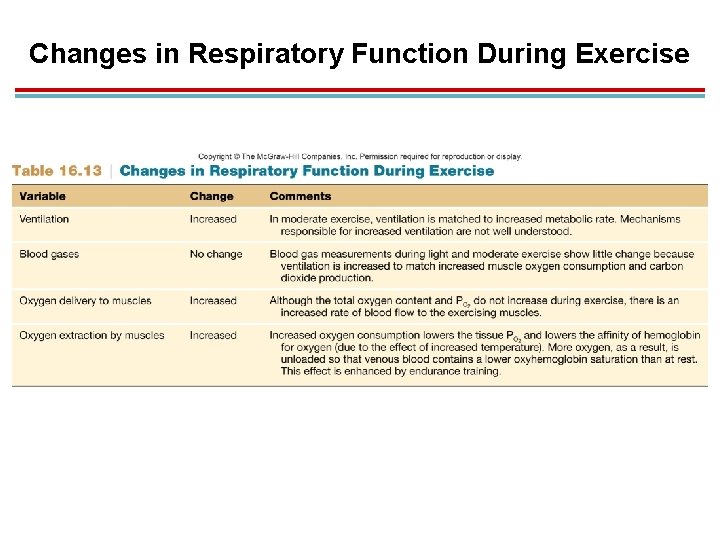 Changes in Respiratory Function During Exercise 