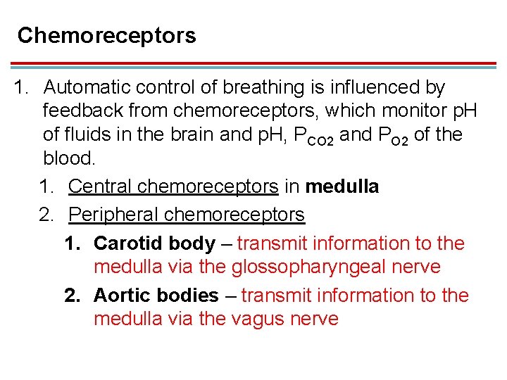Chemoreceptors 1. Automatic control of breathing is influenced by feedback from chemoreceptors, which monitor