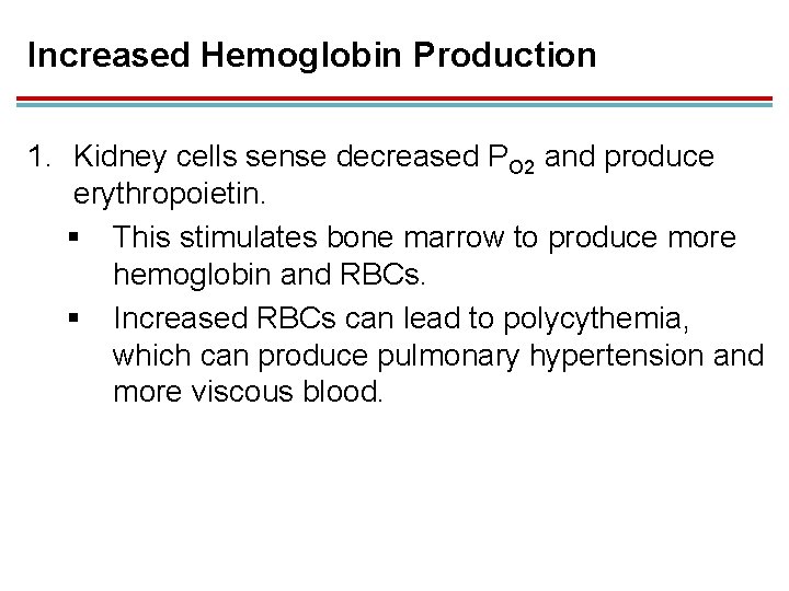 Increased Hemoglobin Production 1. Kidney cells sense decreased PO 2 and produce erythropoietin. §