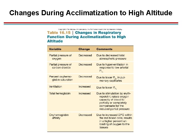 Changes During Acclimatization to High Altitude 
