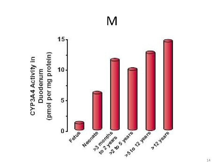 Age Classification M Lecture 29 SPECIAL POPULATIONS PEDIATRICS 1 Age Classifications