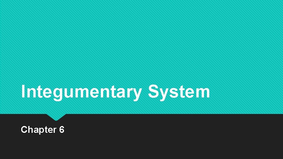 Integumentary System Chapter 6 