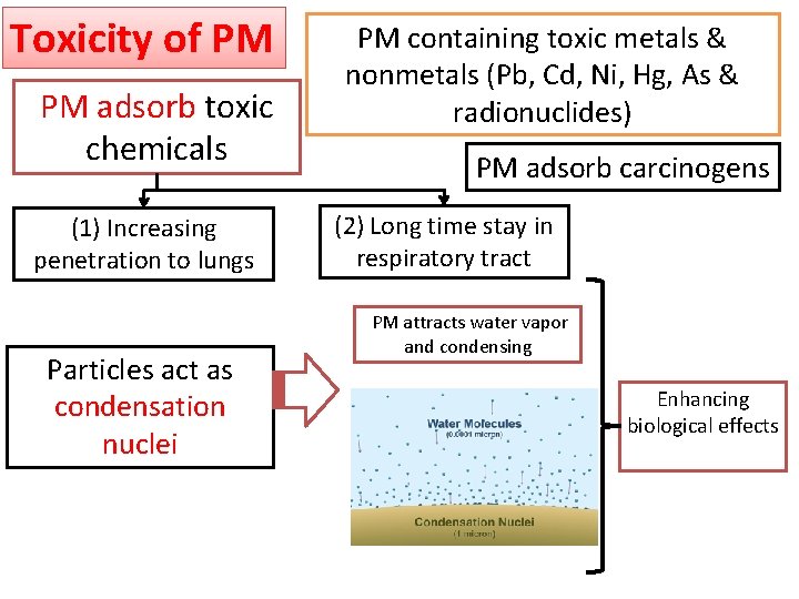 Toxicity of PM PM adsorb toxic chemicals (1) Increasing penetration to lungs Particles act
