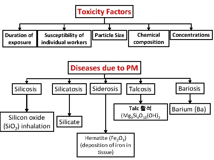 Toxicity Factors Duration of exposure Susceptibility of individual workers Chemical composition Particle Size Concentrations