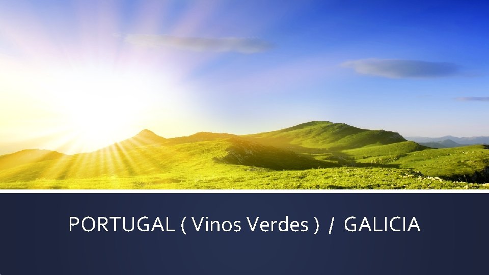 PORTUGAL ( Vinos Verdes ) / GALICIA PORTUGAL ( Vinos Verdes ) / GALICIA