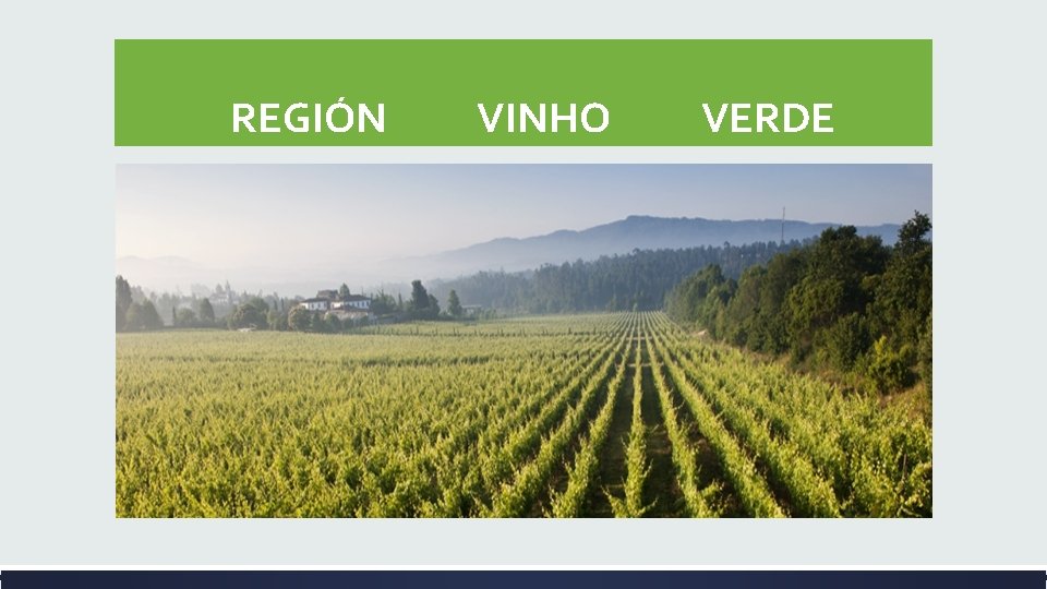  REGIÓN VINHO VERDE 