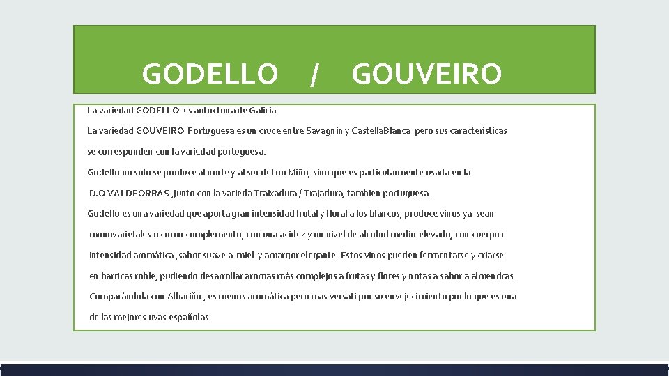  GODELLO / GOUVEIRO La variedad GODELLO es autóctona de Galicia. La variedad GOUVEIRO