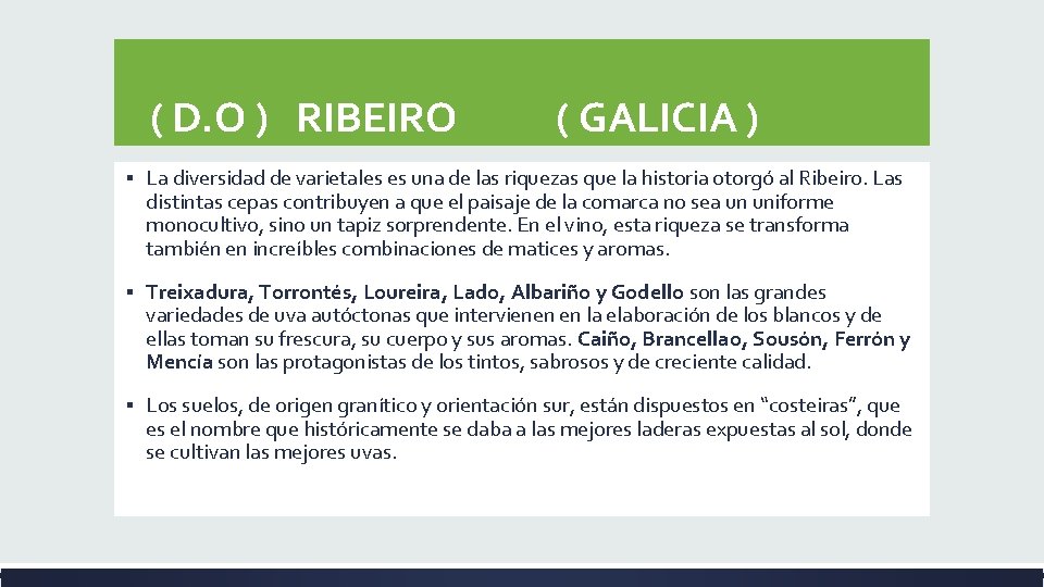( D. O ) RIBEIRO ( GALICIA ) ▪ La diversidad de varietales ( D. O ) RIBEIRO ( GALICIA ) ▪ La diversidad de varietales