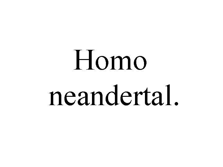 Homo neandertal. 