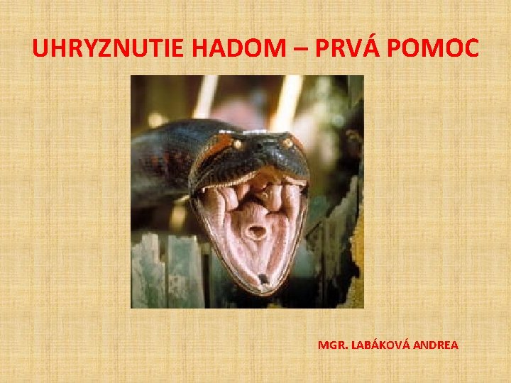 UHRYZNUTIE HADOM – PRVÁ POMOC MGR. LABÁKOVÁ ANDREA 