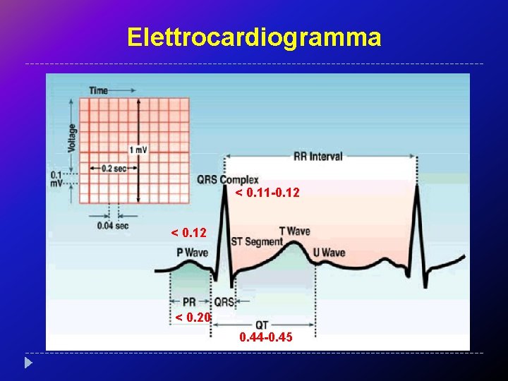 Elettrocardiogramma < 0. 11 -0. 12 < 0. 20 0. 44 -0. 45 