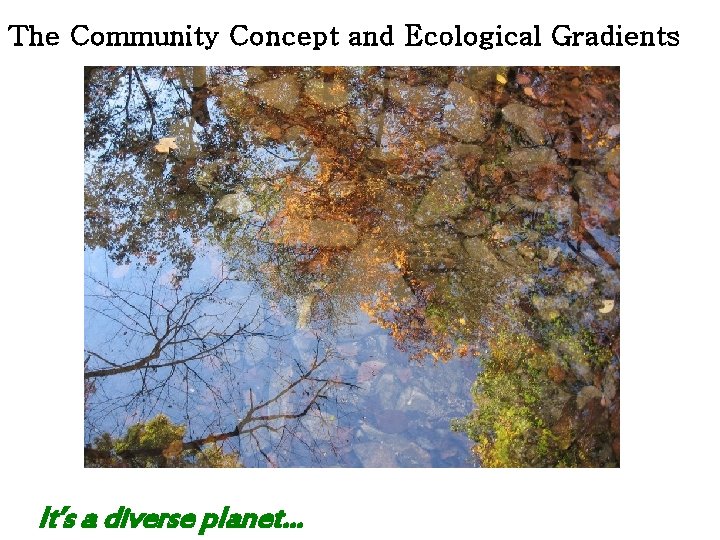 The Community Concept and Ecological Gradients It’s a diverse planet… 