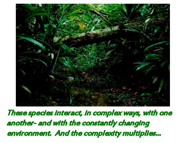 These species interact, in complex ways, with one another- and with the constantly changing