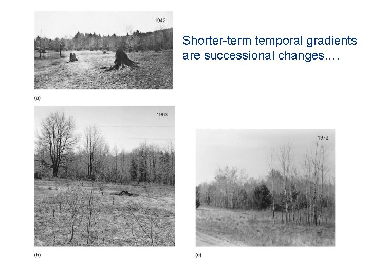 Shorter-term temporal gradients are successional changes…. 