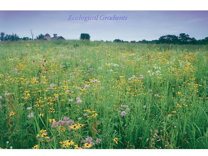 Ecological Gradients 