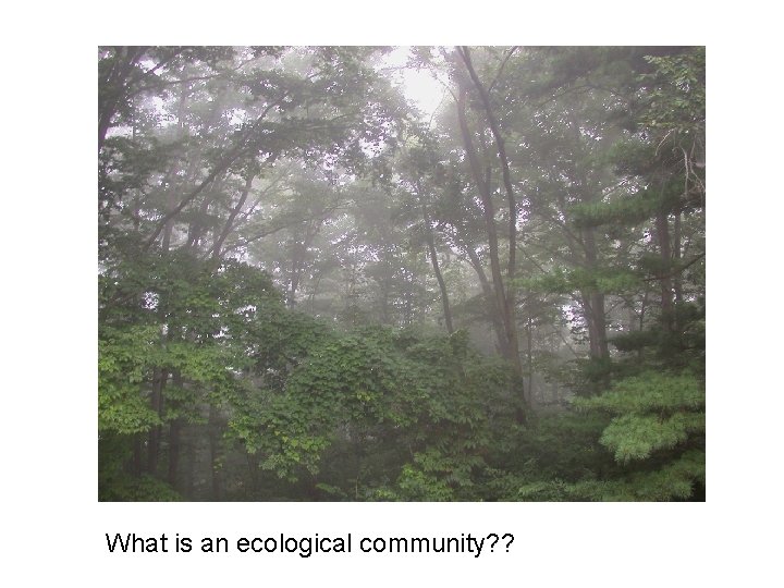 What is an ecological community? ? 