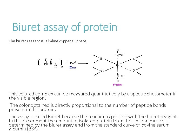 Biuret assay of protein The biuret reagent is: alkaline copper sulphate . This colored