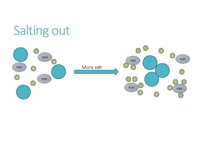 Salting out - H 2 O + + - H 2 O + -