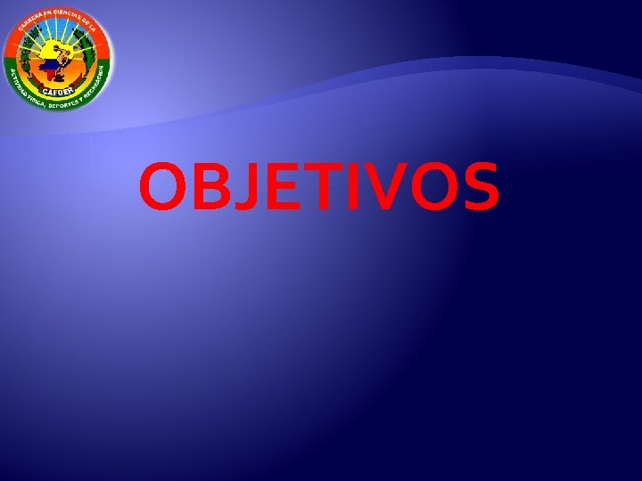 OBJETIVOS 