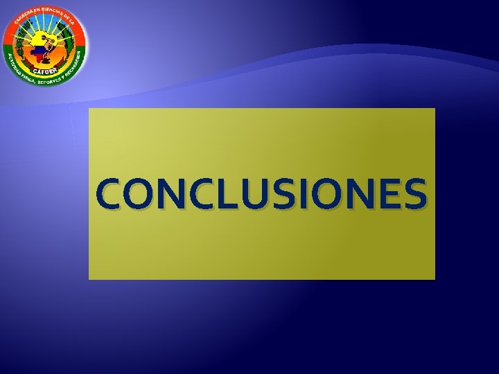 CONCLUSIONES 