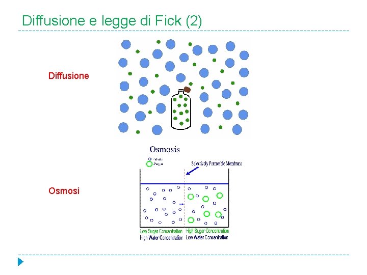 Diffusione e legge di Fick (2) Diffusione Osmosi 