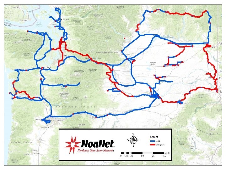 Network Map 