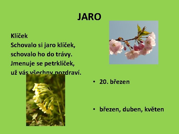 JARO Klíček Schovalo si jaro klíček, schovalo ho do trávy. Jmenuje se petrklíček, už