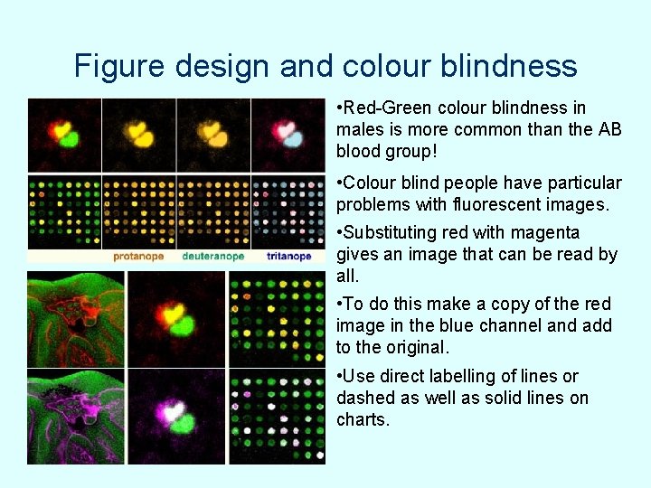 Figure design and colour blindness • Red-Green colour blindness in males is more common Figure design and colour blindness • Red-Green colour blindness in males is more common