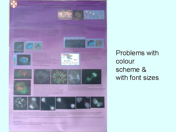 Problems with colour scheme & with font sizes Problems with colour scheme & with font sizes